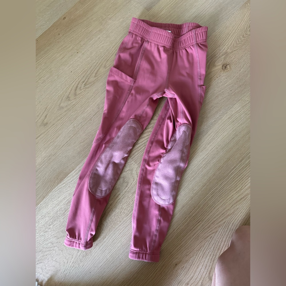 equestrian riding pants